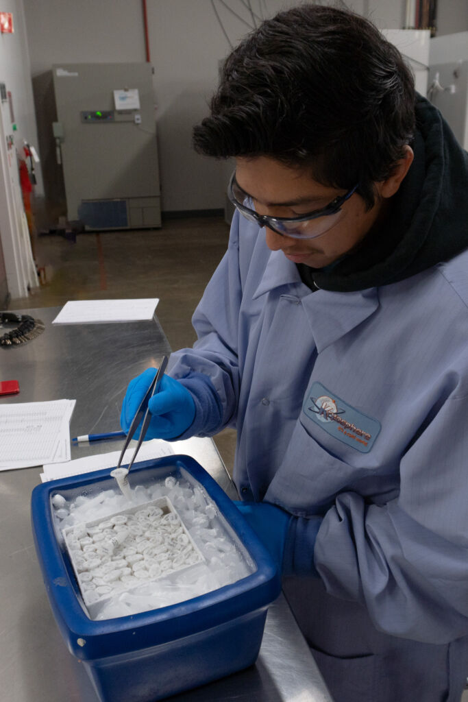 Kryosphere technician using tweezers to handle frozen sample vials on dry ice